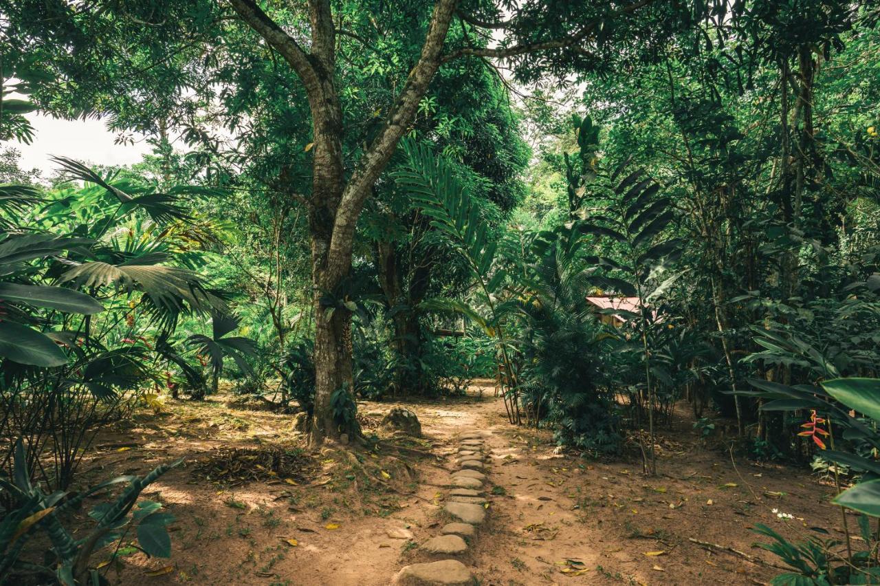 Huingos Eco Lodge Тарапото Екстериор снимка