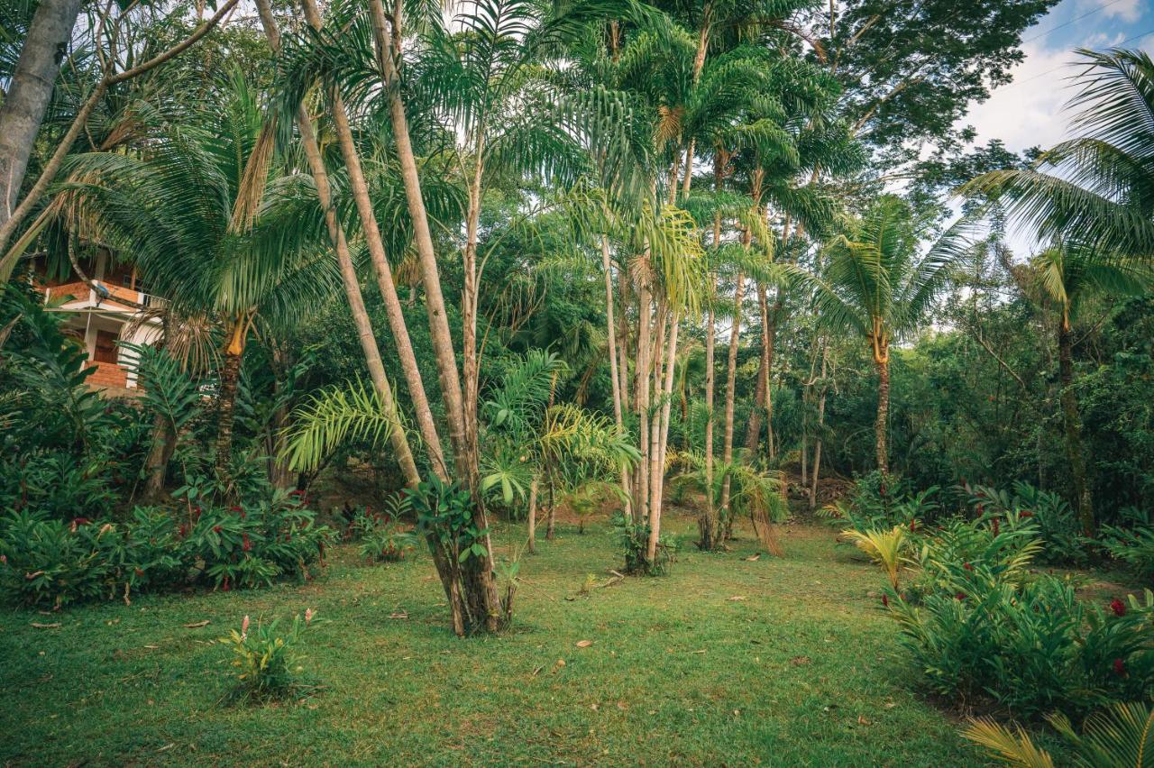 Huingos Eco Lodge Тарапото Екстериор снимка
