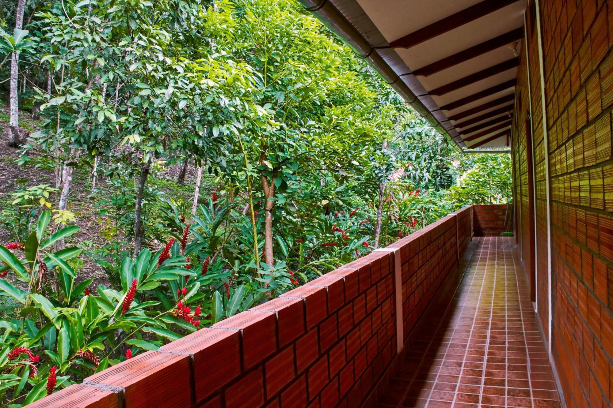 Huingos Eco Lodge Тарапото Екстериор снимка