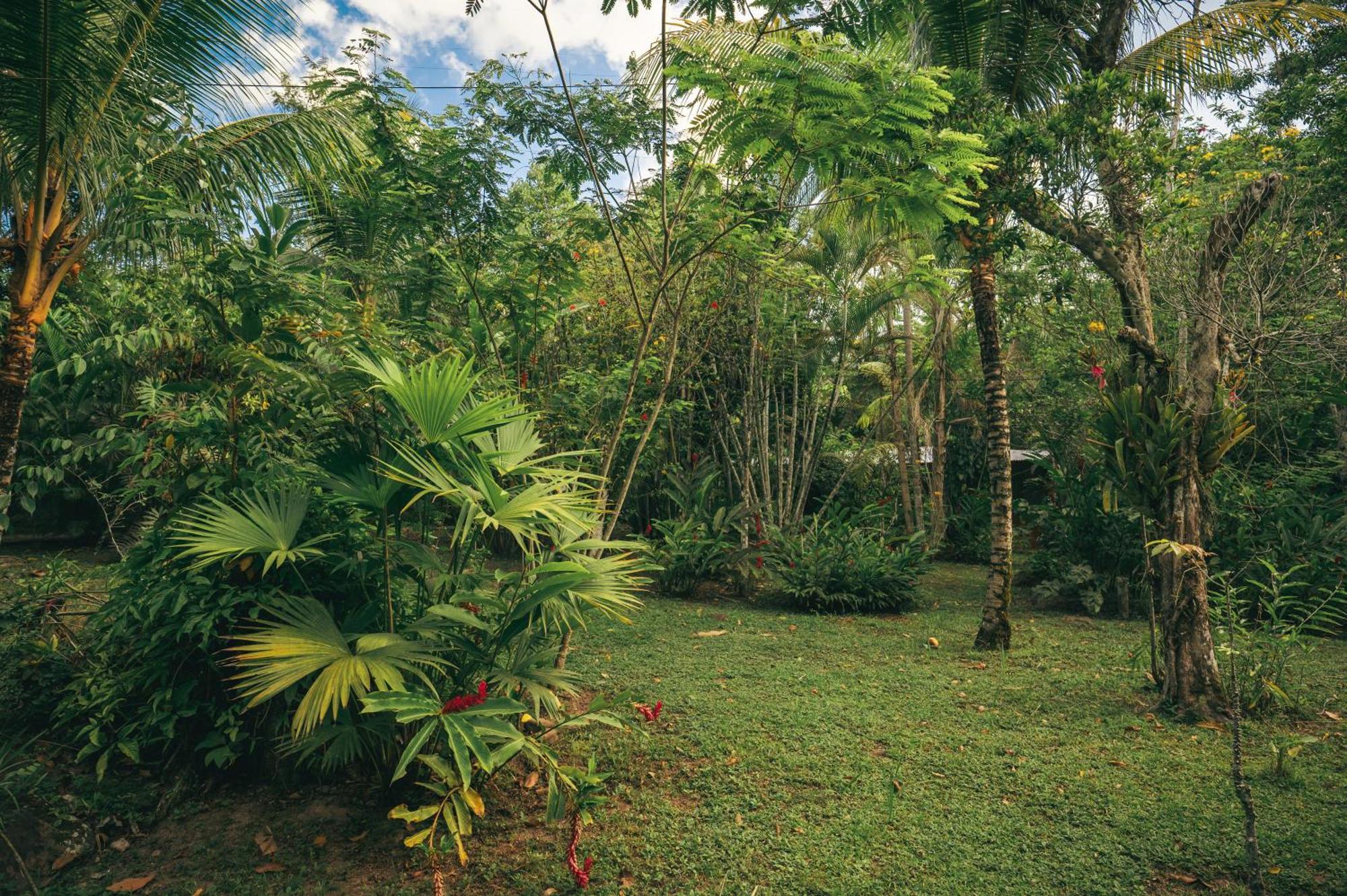 Huingos Eco Lodge Тарапото Екстериор снимка