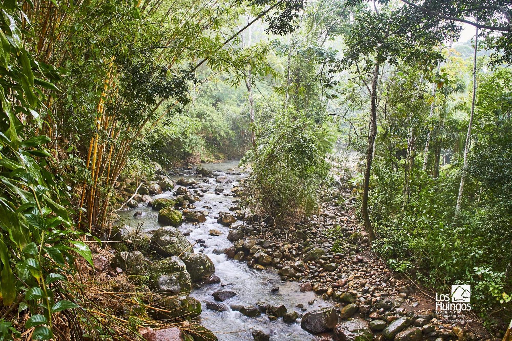 Huingos Eco Lodge Тарапото Екстериор снимка