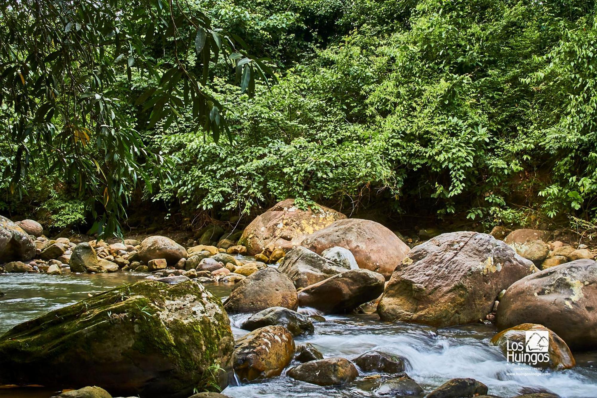 Huingos Eco Lodge Тарапото Екстериор снимка